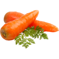 Organic Carrot
