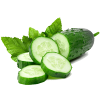 Organic Cucumber