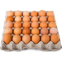 Fresh Eggs (medium size)